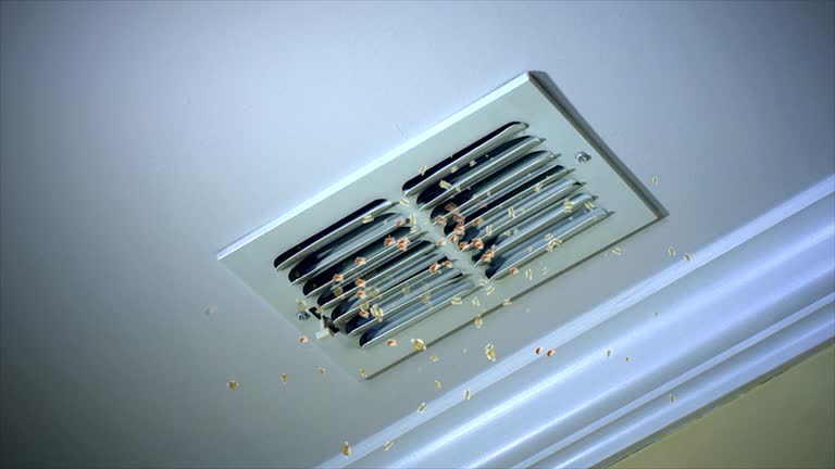 Best Air Filter Replacement Services in Carter, TX